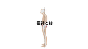 猫背の特徴と筋肉への影響